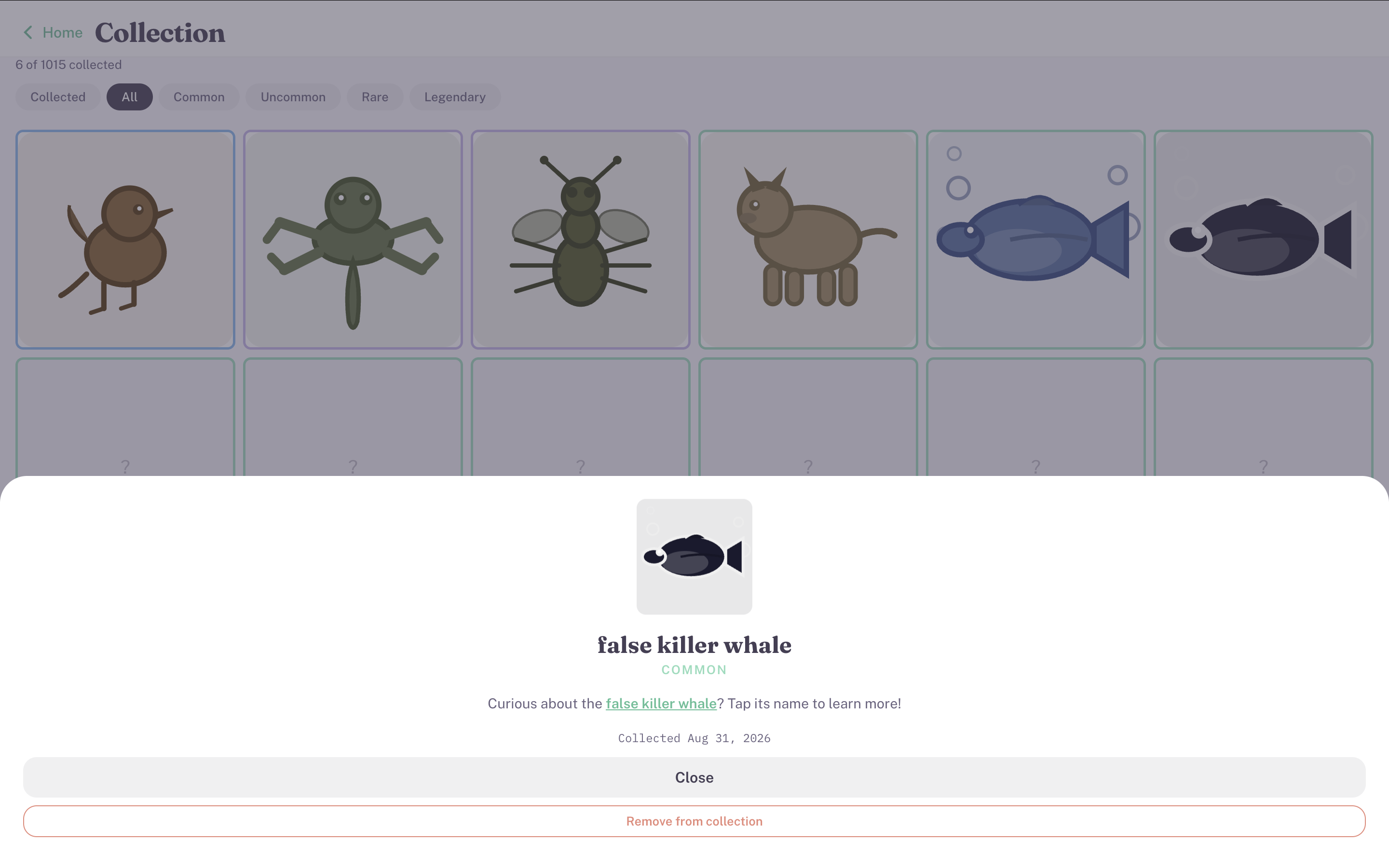 Squeakyturtle card collection grid