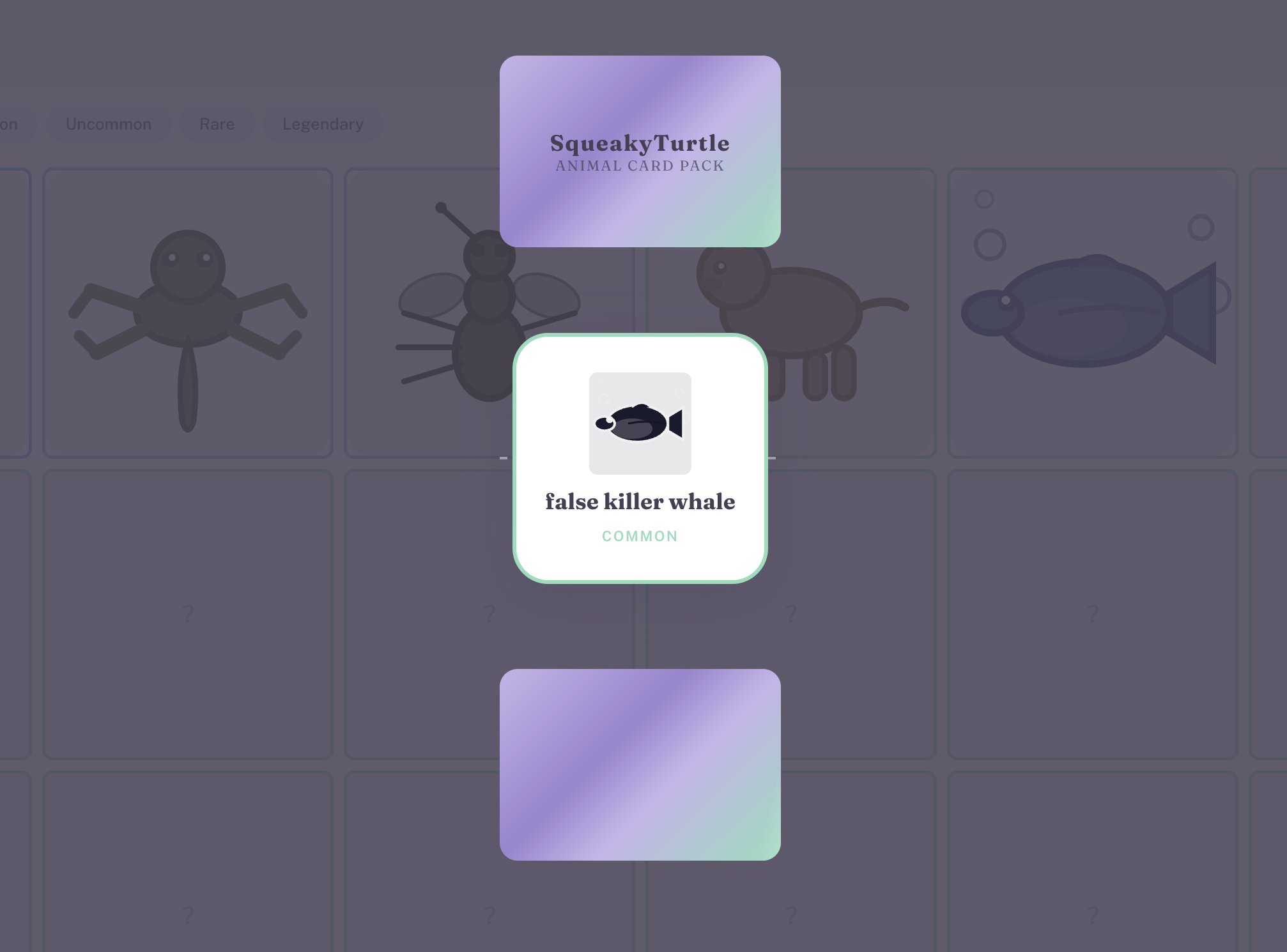 Squeakyturtle card reveal animation